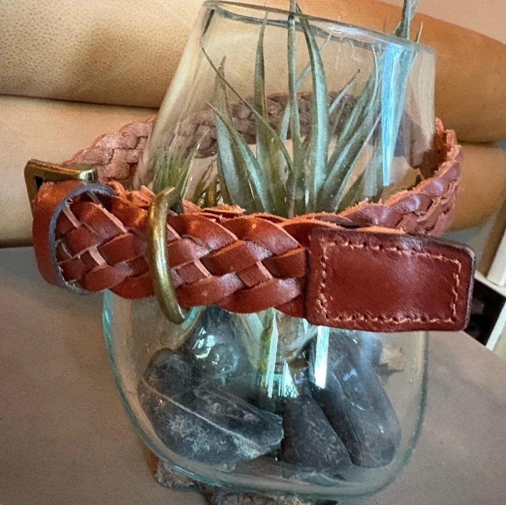 NWT Harry Barker Braided Leather Dog Collar-M
